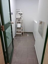 Parc Palais (D21), Condominium #583920501
